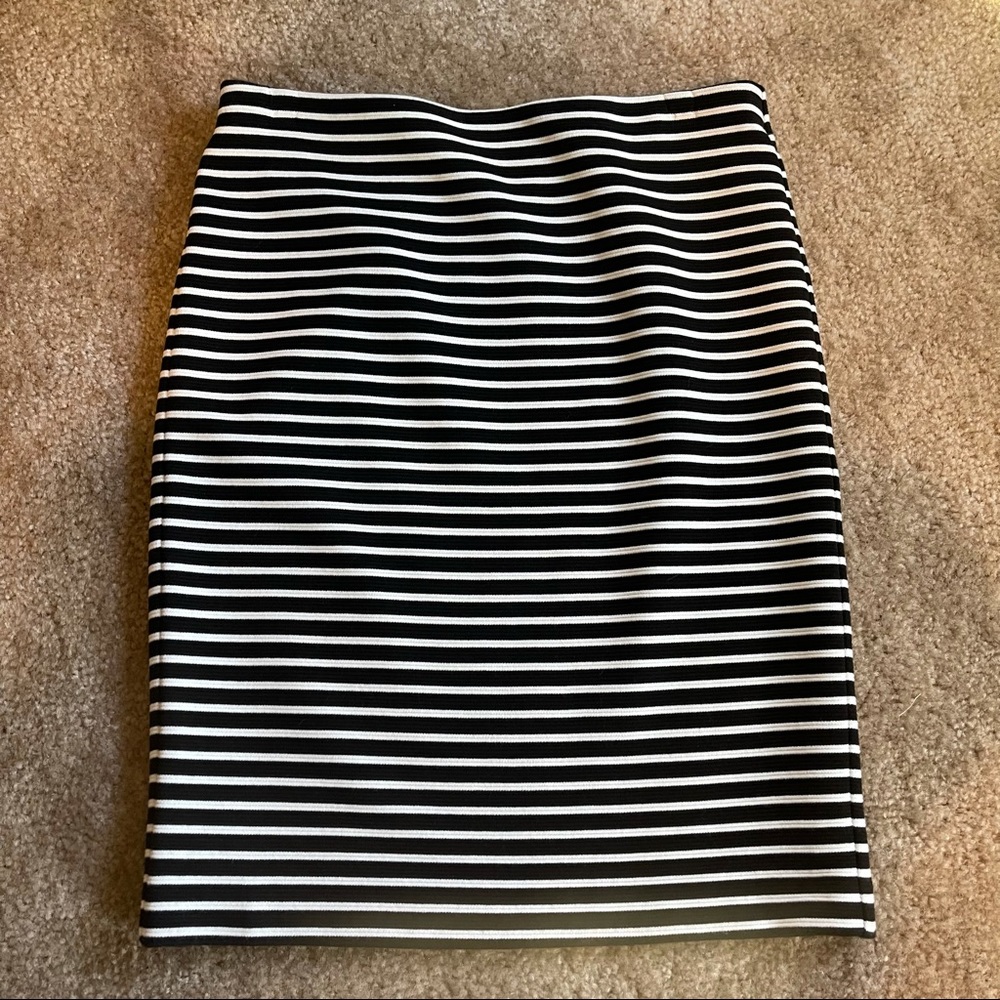 NWT Loft Pencil Skirt